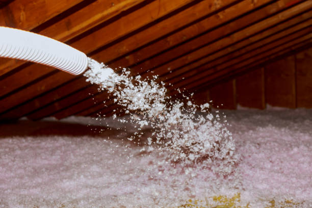 Best Spray Foam Insulation  in Budd Lake, NJ