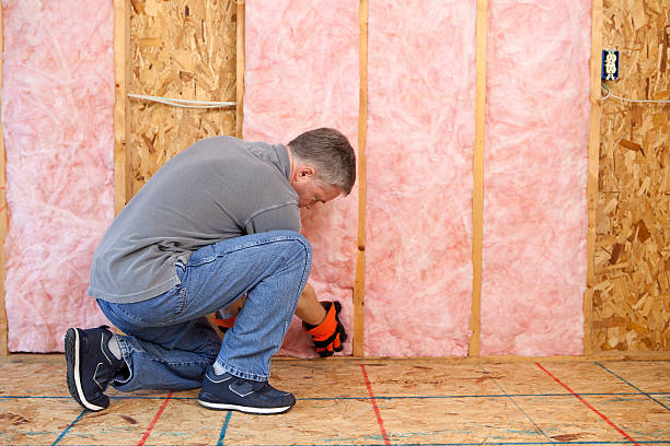 Insulation Replacement Services in Budd Lake, NJ